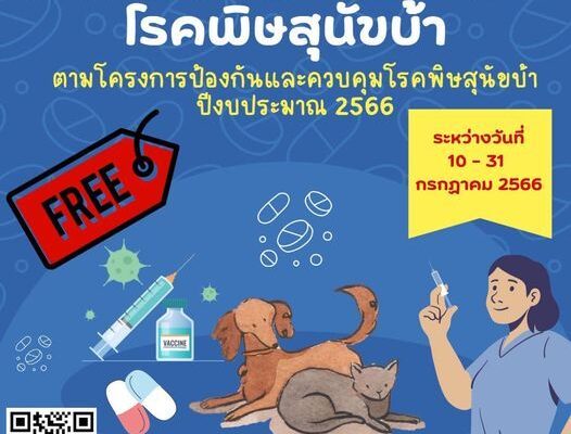 vaccination pets