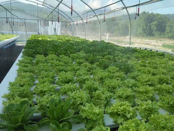 organic farming sustainability