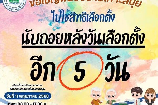 local-elections municipal-government