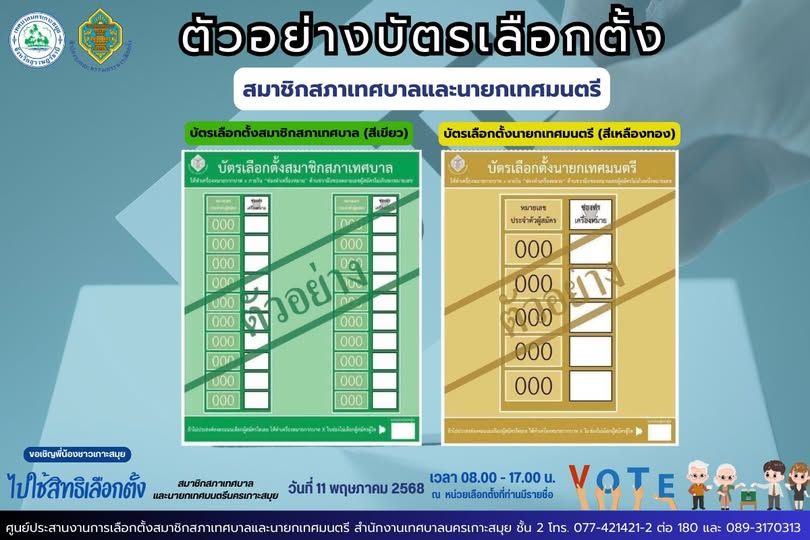election local-government