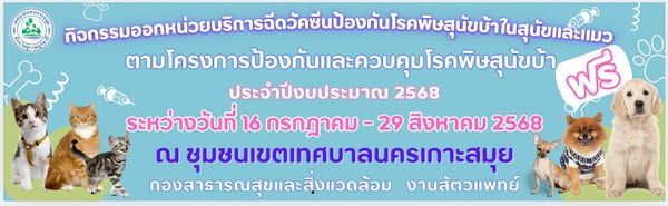 rabies vaccination