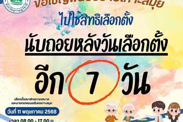 election local-government