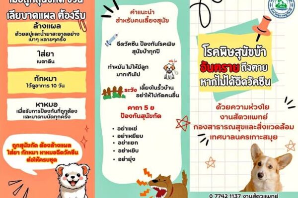 rabies prevention