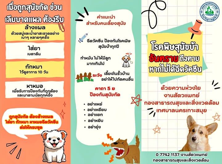 rabies prevention