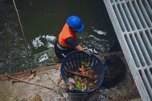 Koh Samui waterway cleanup