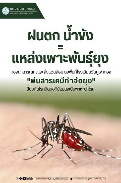 Mosquito Control Vector-borne Diseases